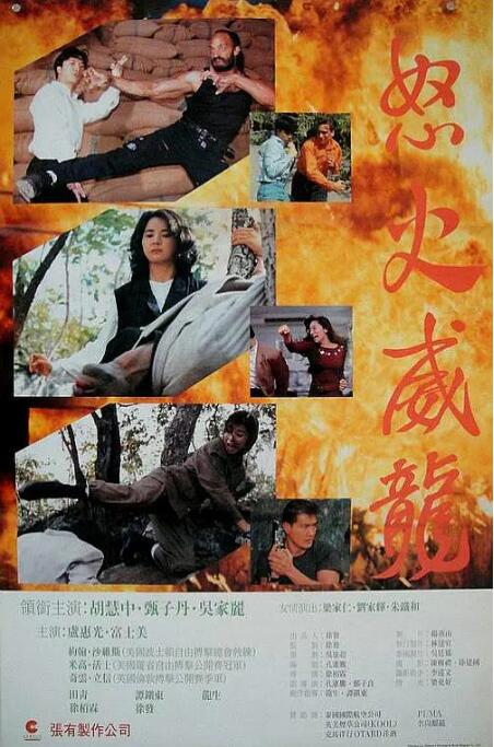 《野草莓》海报
